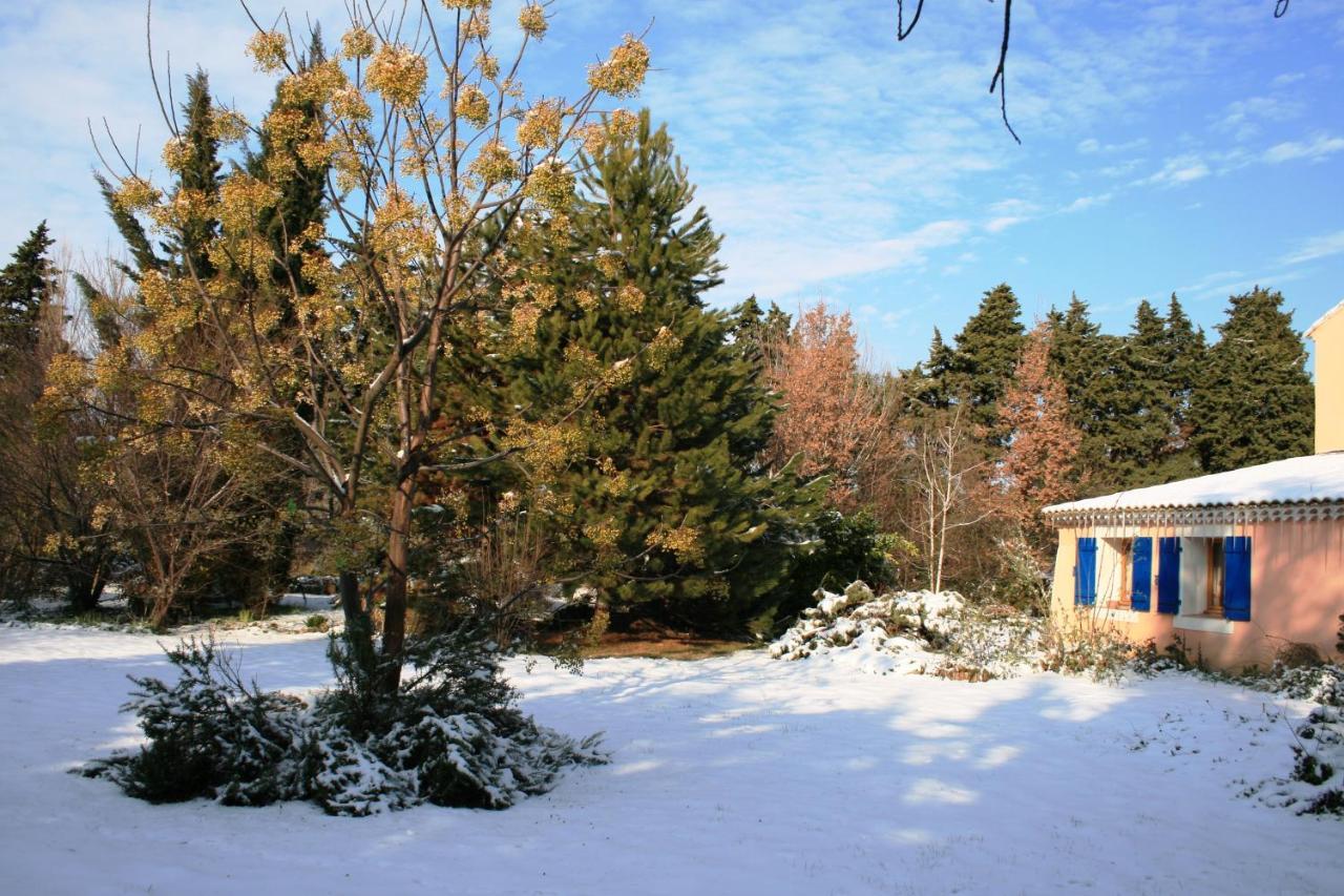 Le Mas De La Cigale Bleue, Caumont Sur Durance Екстер'єр фото